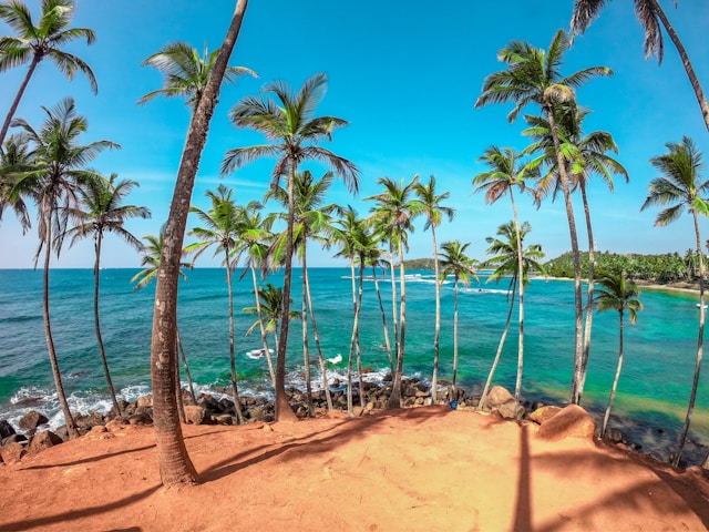 Beachside Holiday Sri Lanka